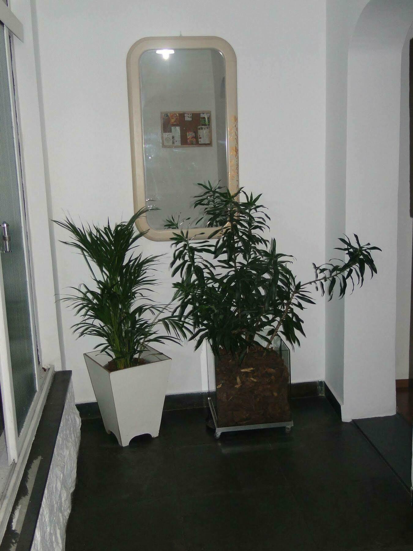 Today Hostel ساو باولو المظهر الخارجي الصورة