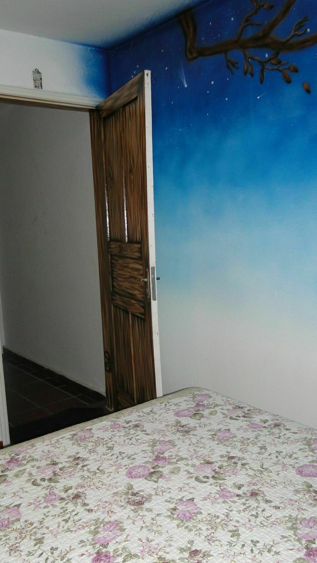 Today Hostel ساو باولو المظهر الخارجي الصورة